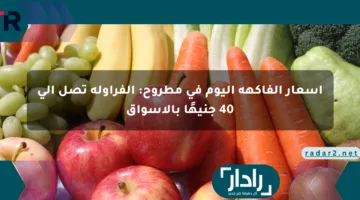أسعار الفاكهة اليوم في مطروح: الفراولة تصل إلى 40 جنيهًا بالأسواق